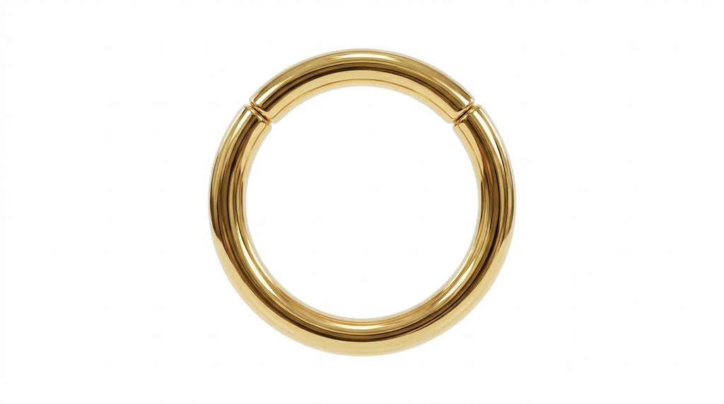 14K Solid Gold Captive Segment Hoop - Yellow gold, Solid gold, 14k