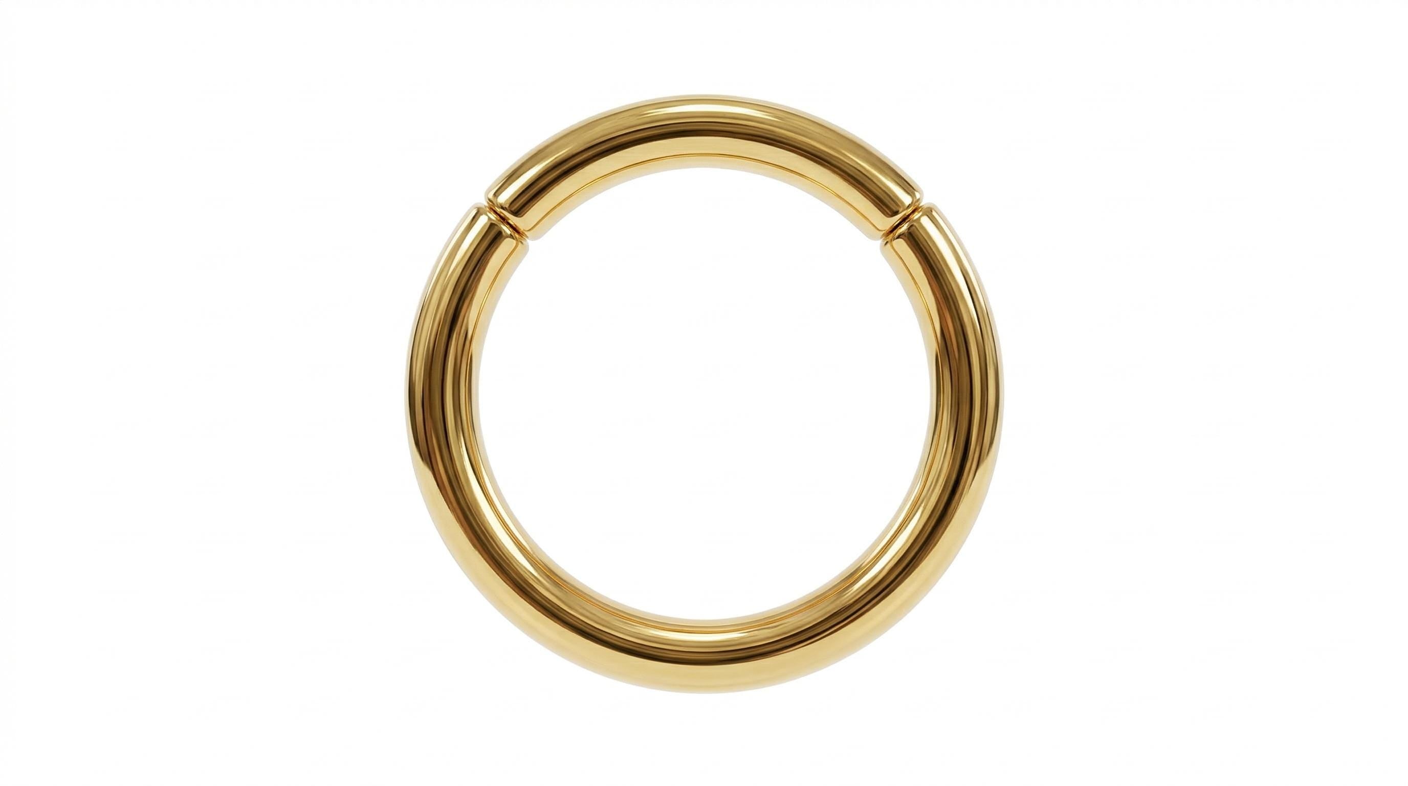 14K Solid Gold Captive Segment Hoop - Yellow gold, Solid gold, 14k