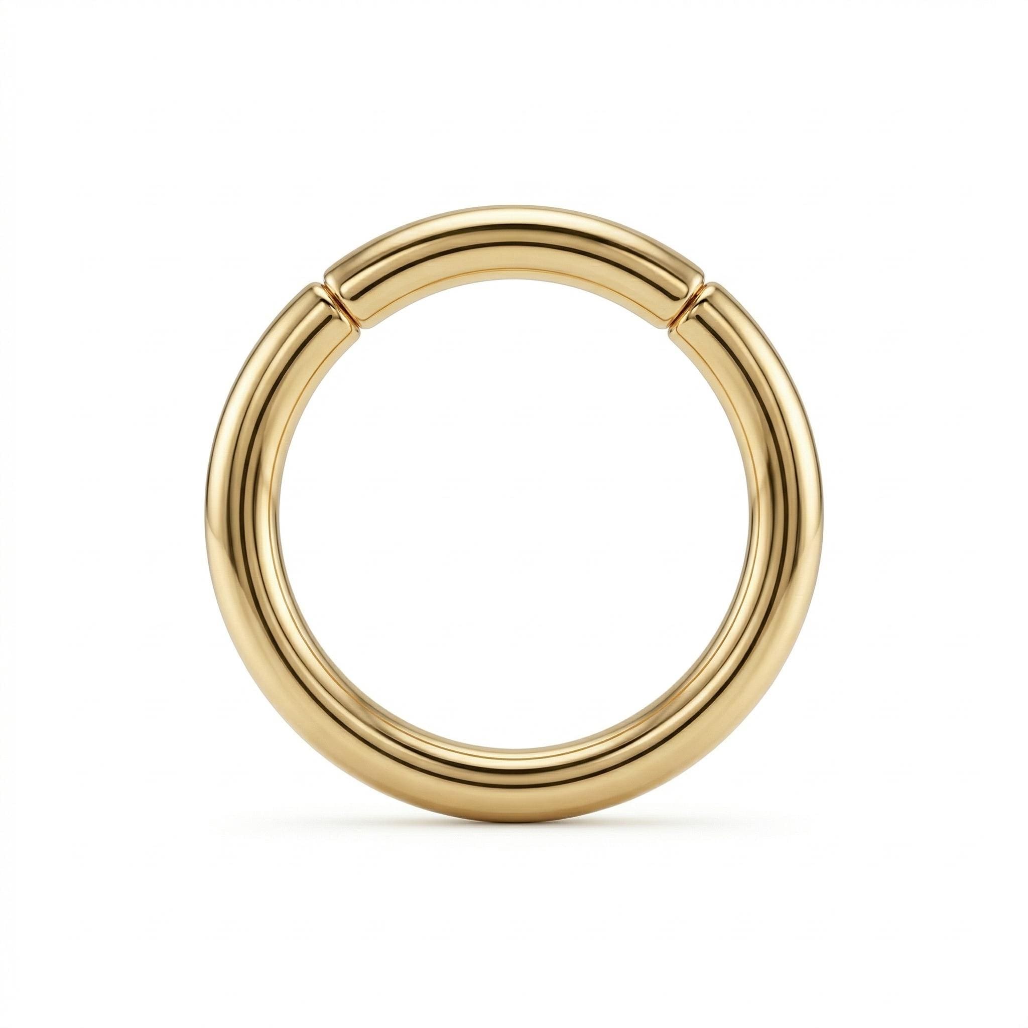 14K Solid Gold Captive Segment Hoop - Yellow gold, Solid gold, 14k
