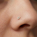 14K Solid Gold Nose Stud - Cubic zirconia, Yellow gold, Solid gold
