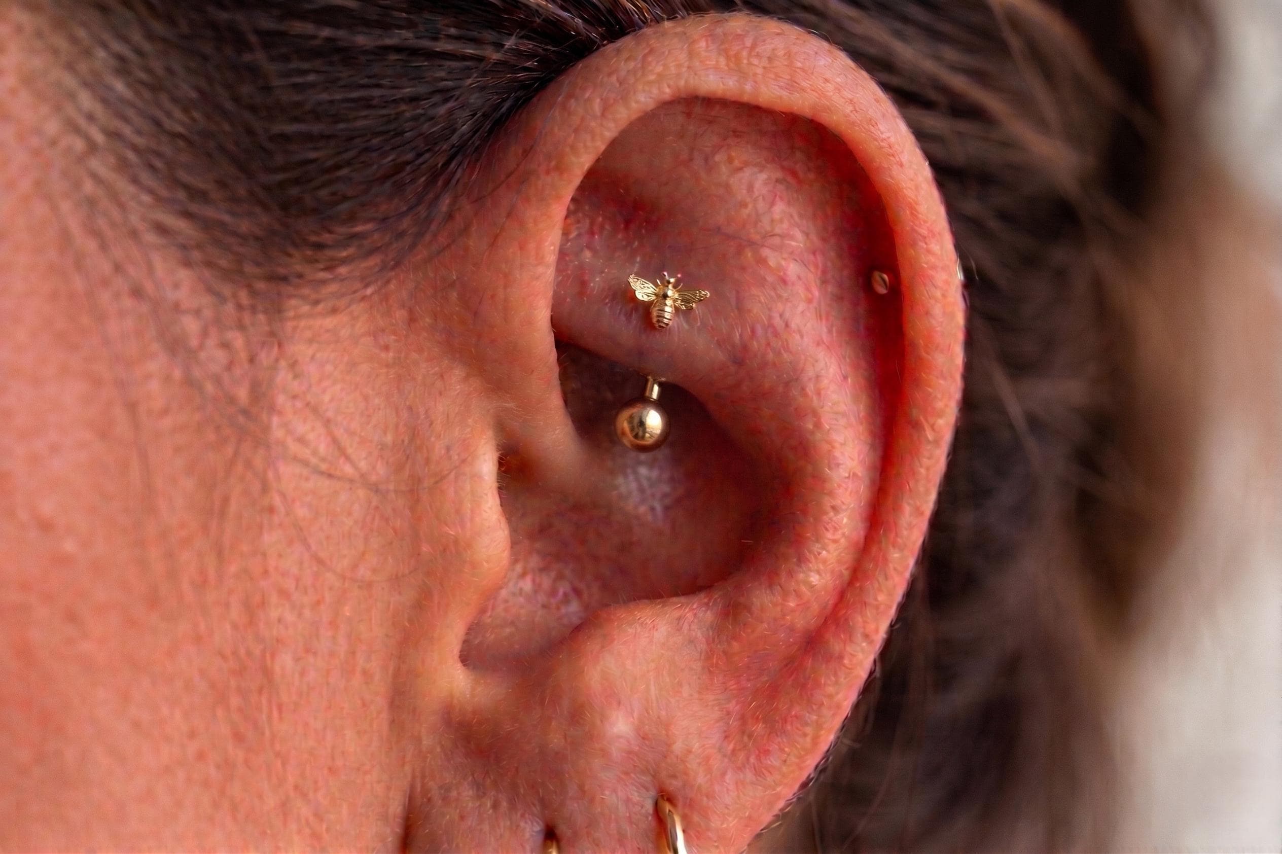 14K Solid Gold CZ Bumblebee Rook Earring | Rook Piercing | Bumblebee Cartilage Jewelry | Gold Curved Barbell | Antihelix Cartilage Jewelry